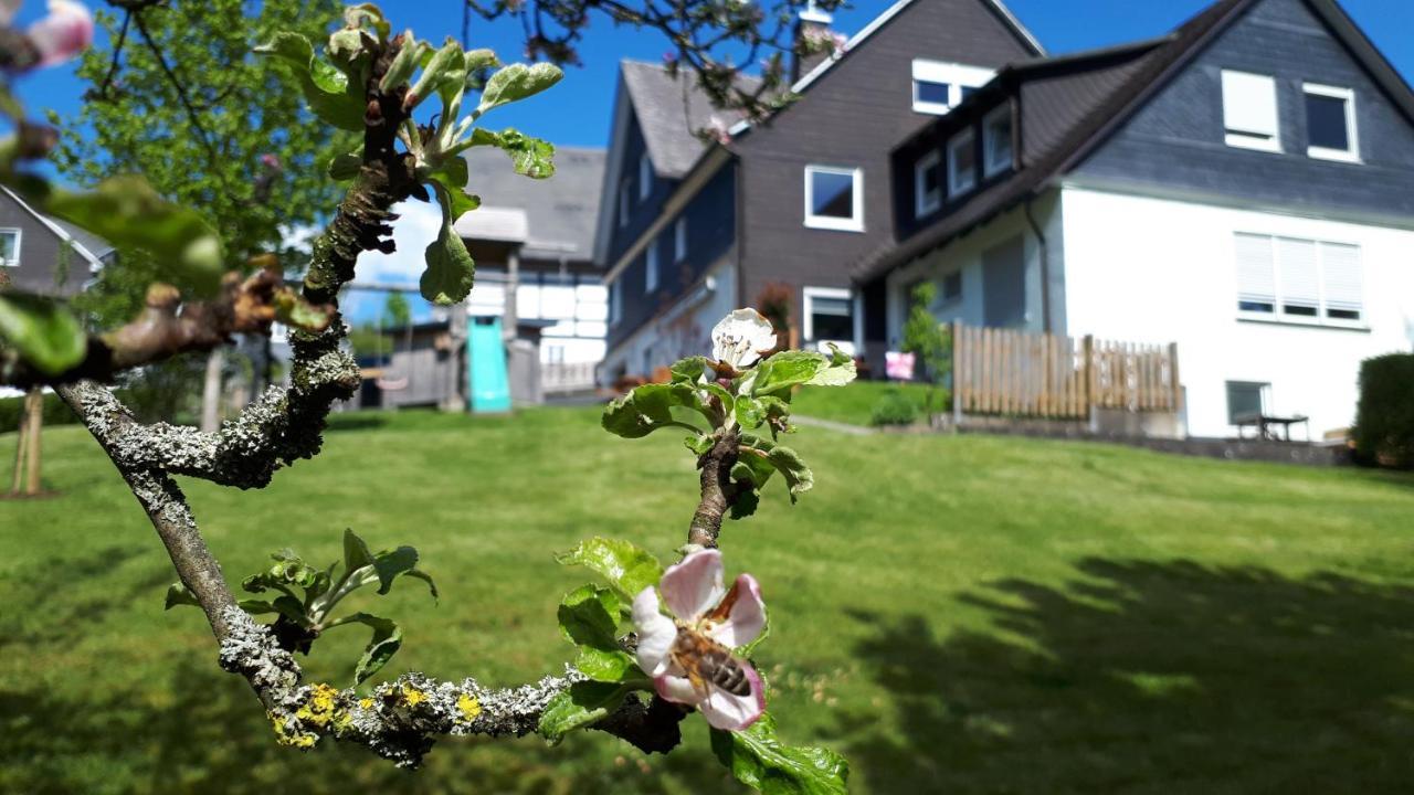 Ferienwohnung & Gaestezimmer Schrichten Schmallenberg Exterior photo